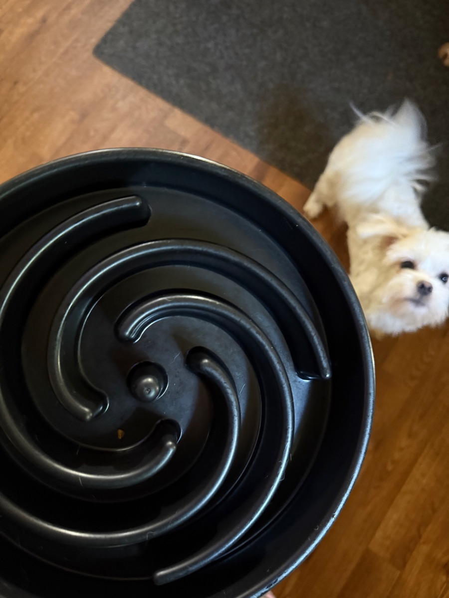MateeyLife 2-Pack Slow Feeder Dog Bowls, 2 Cups